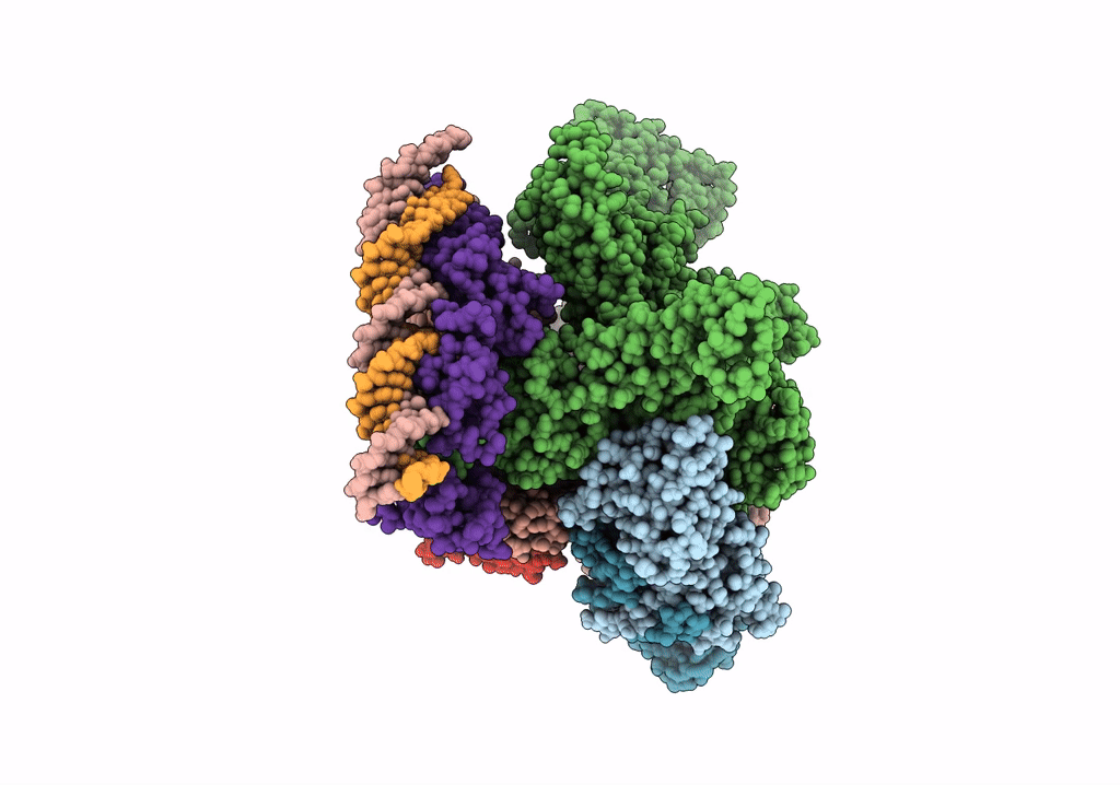 5NSR image