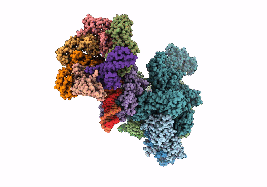 5NSS image