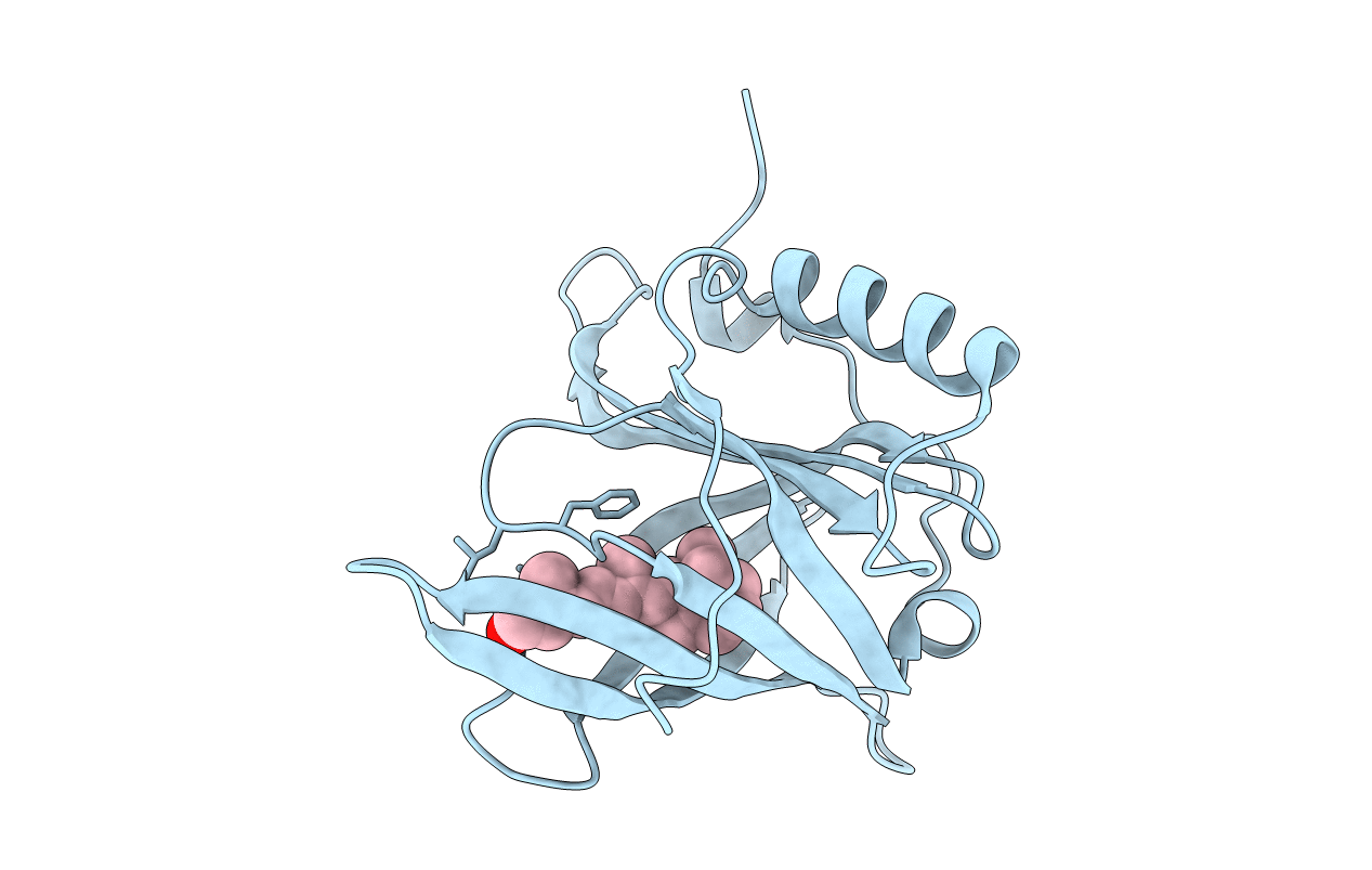 5NU7 image