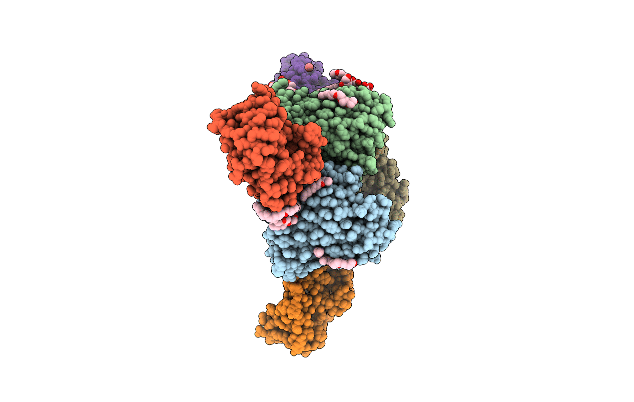 5NUP image