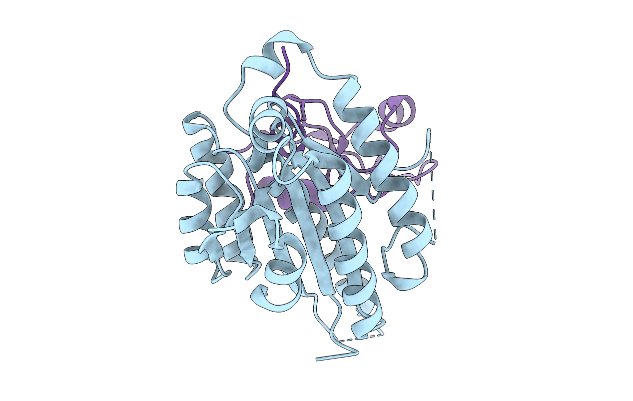 5NUS image