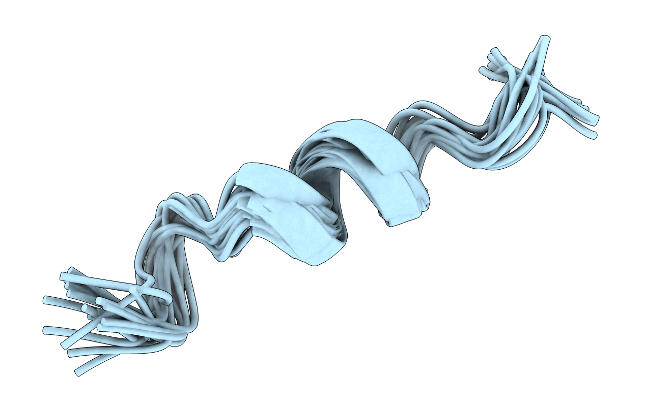 5NVB image