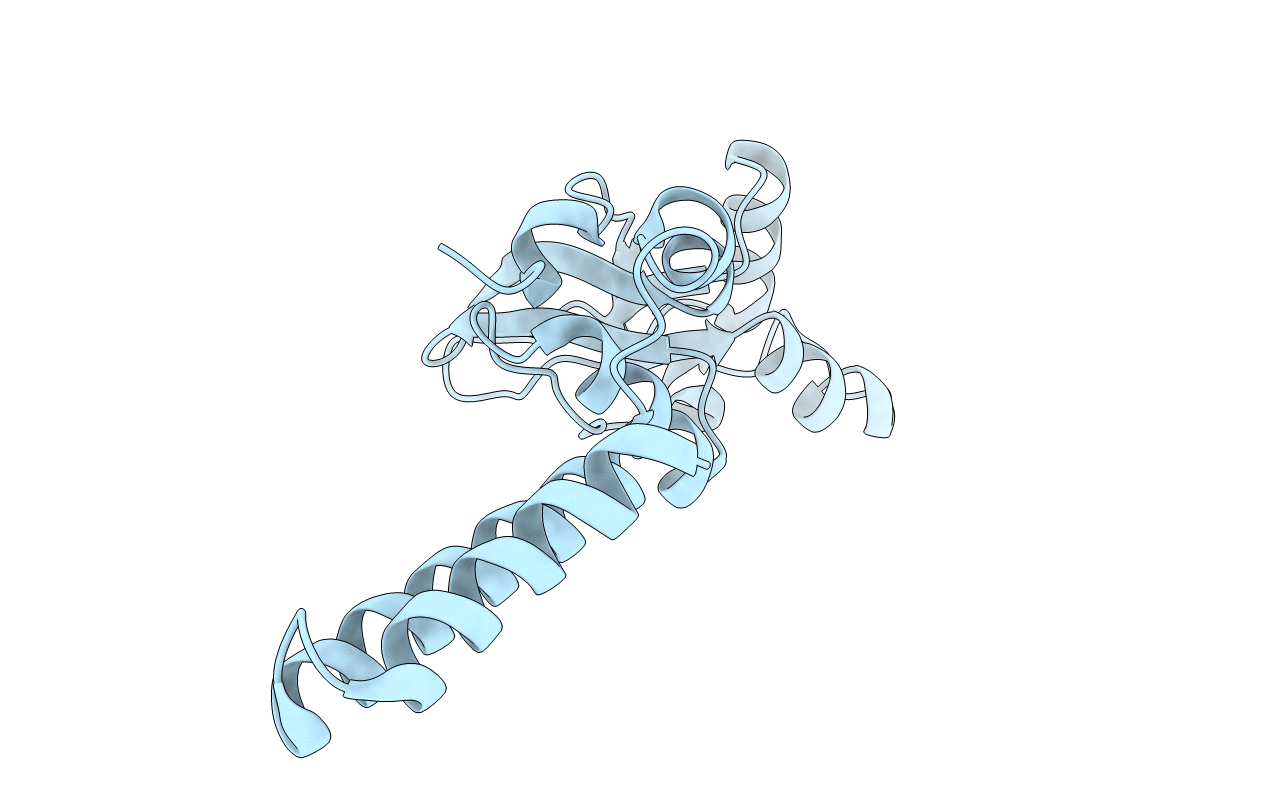 5NVD image