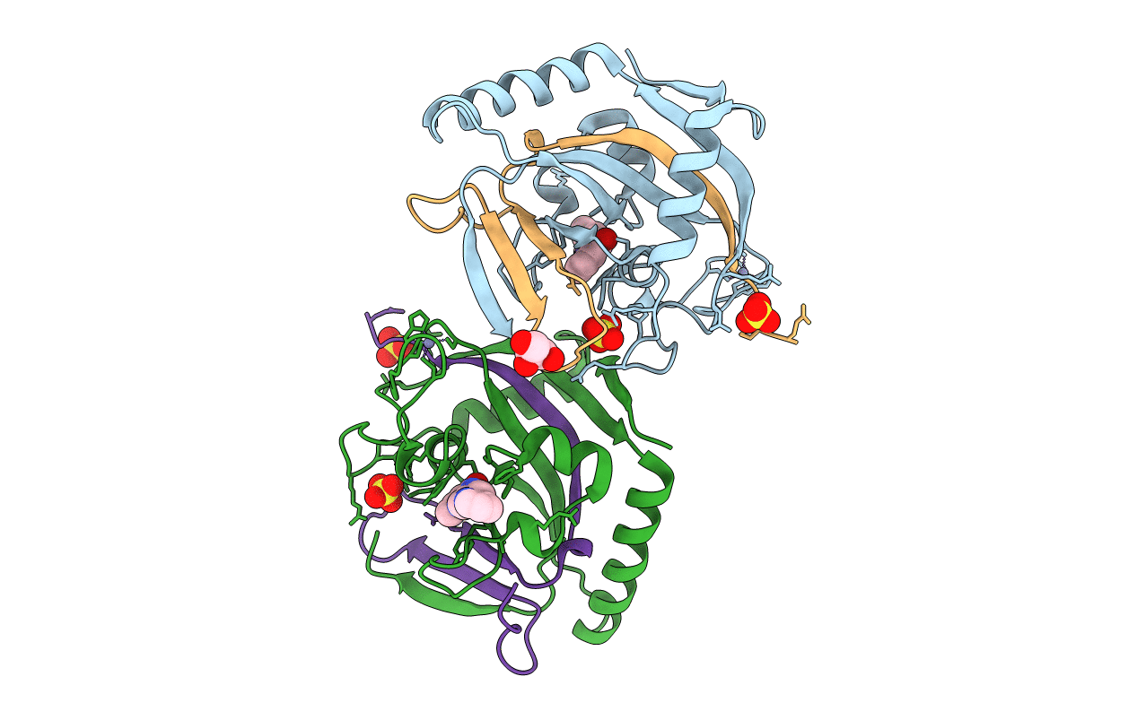 5NVF image