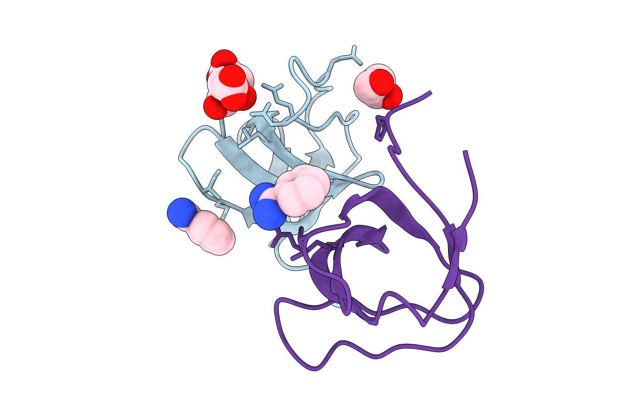 5NVJ image