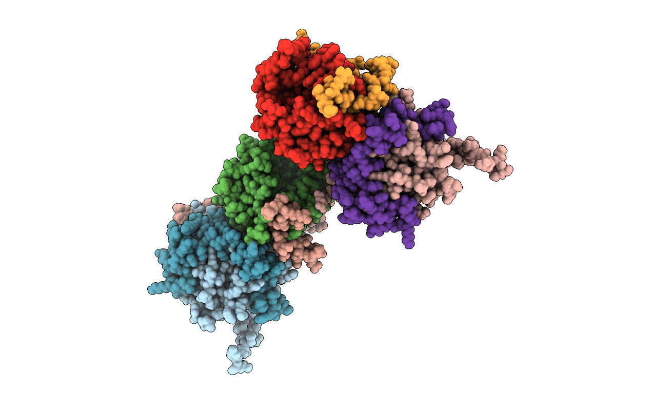 5NVK image
