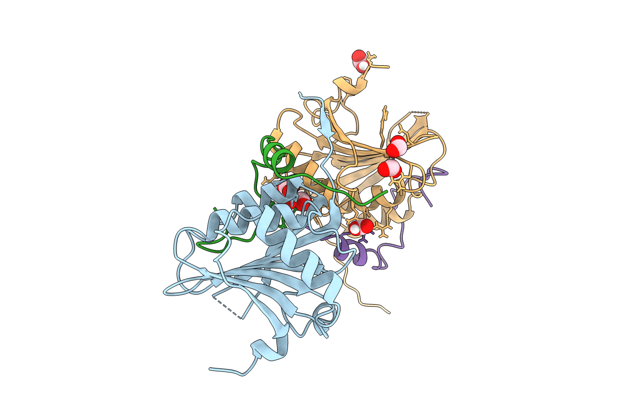 5NVN image