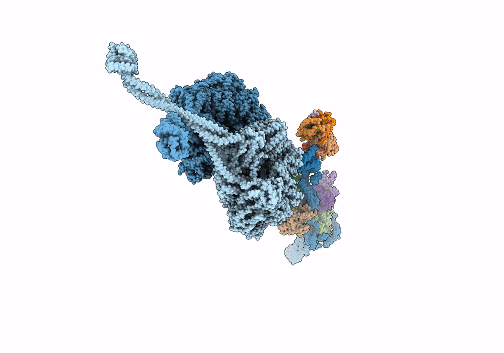 5NVU image