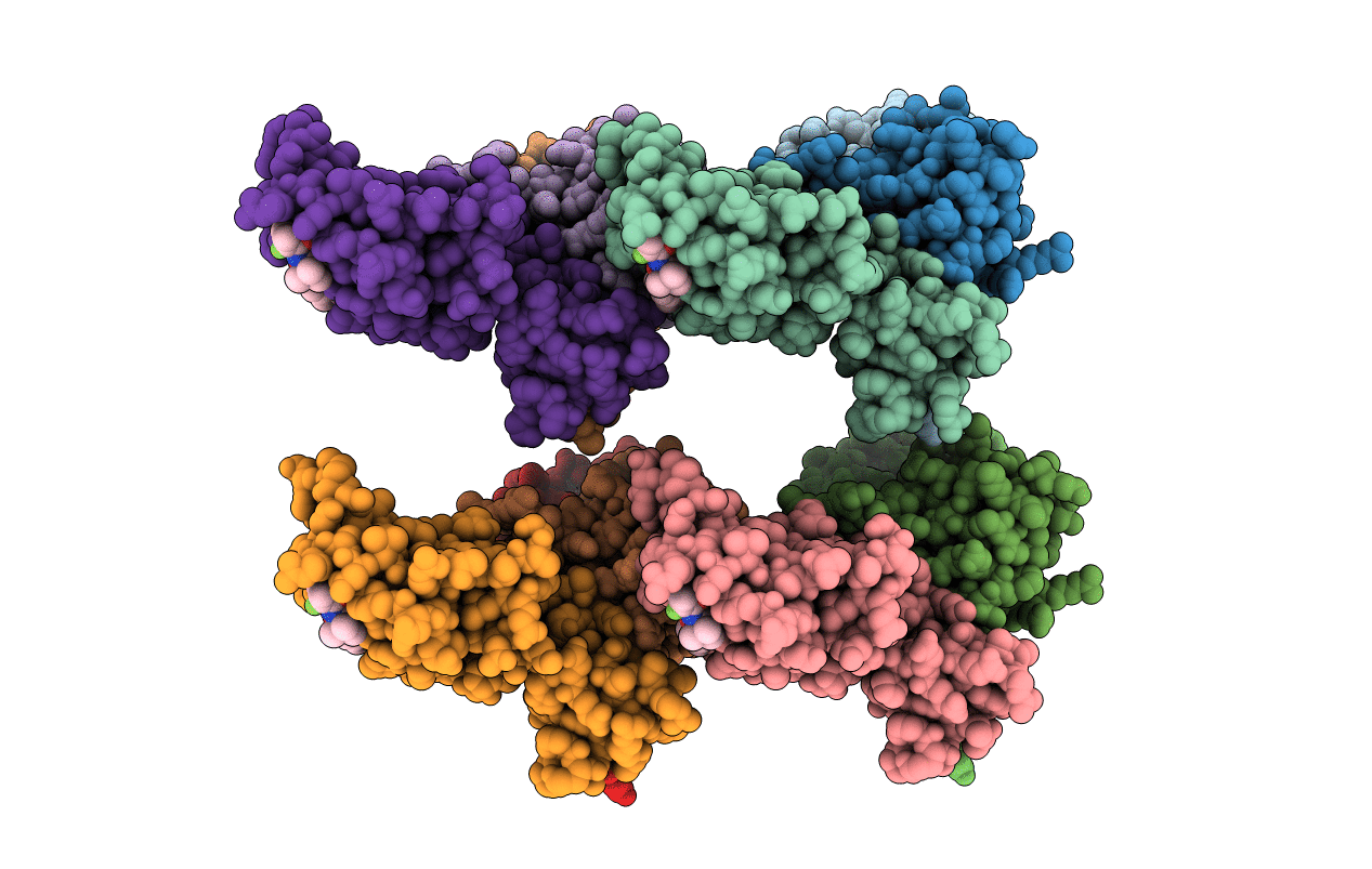5NVX image