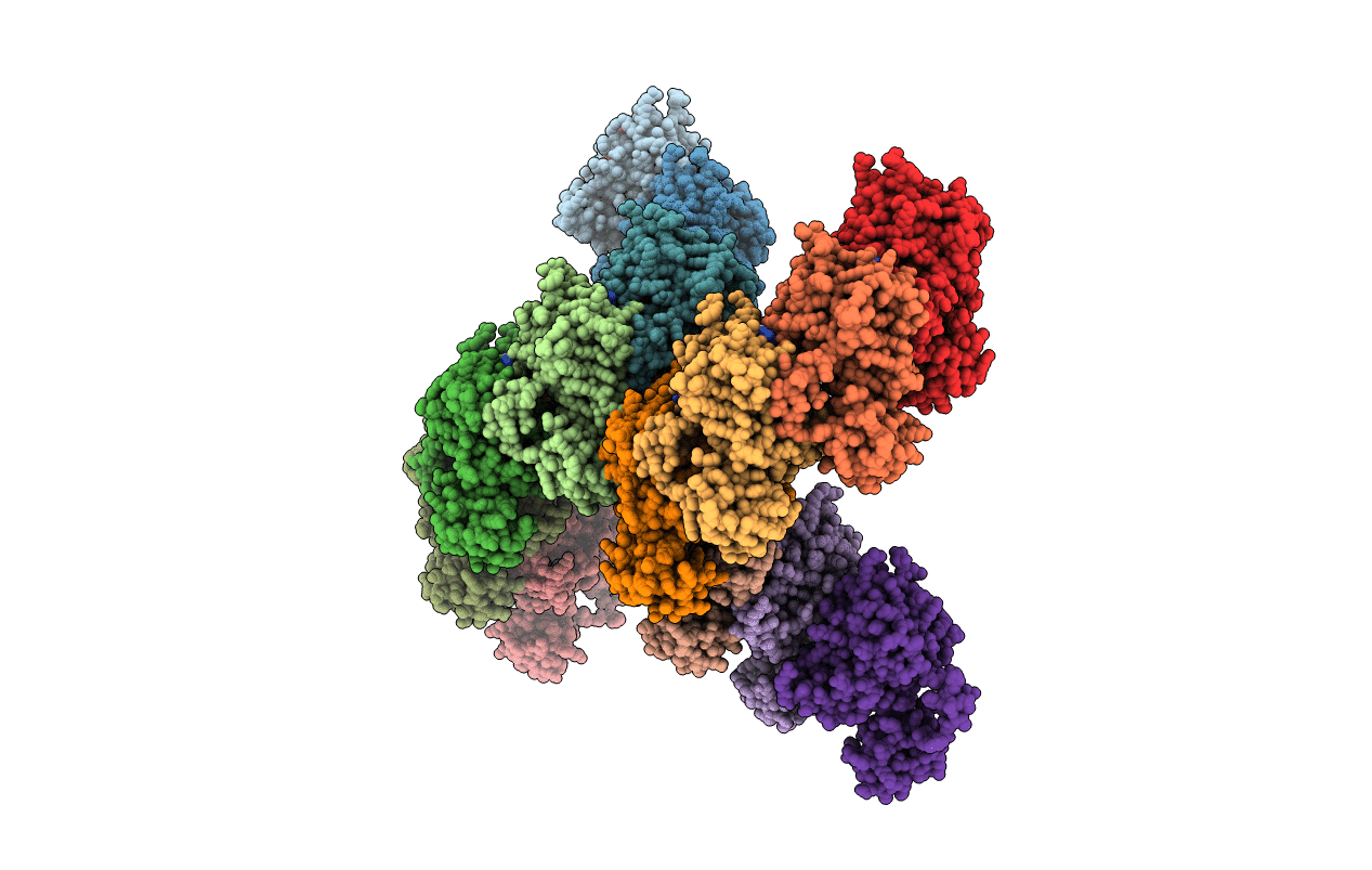 5NWL image