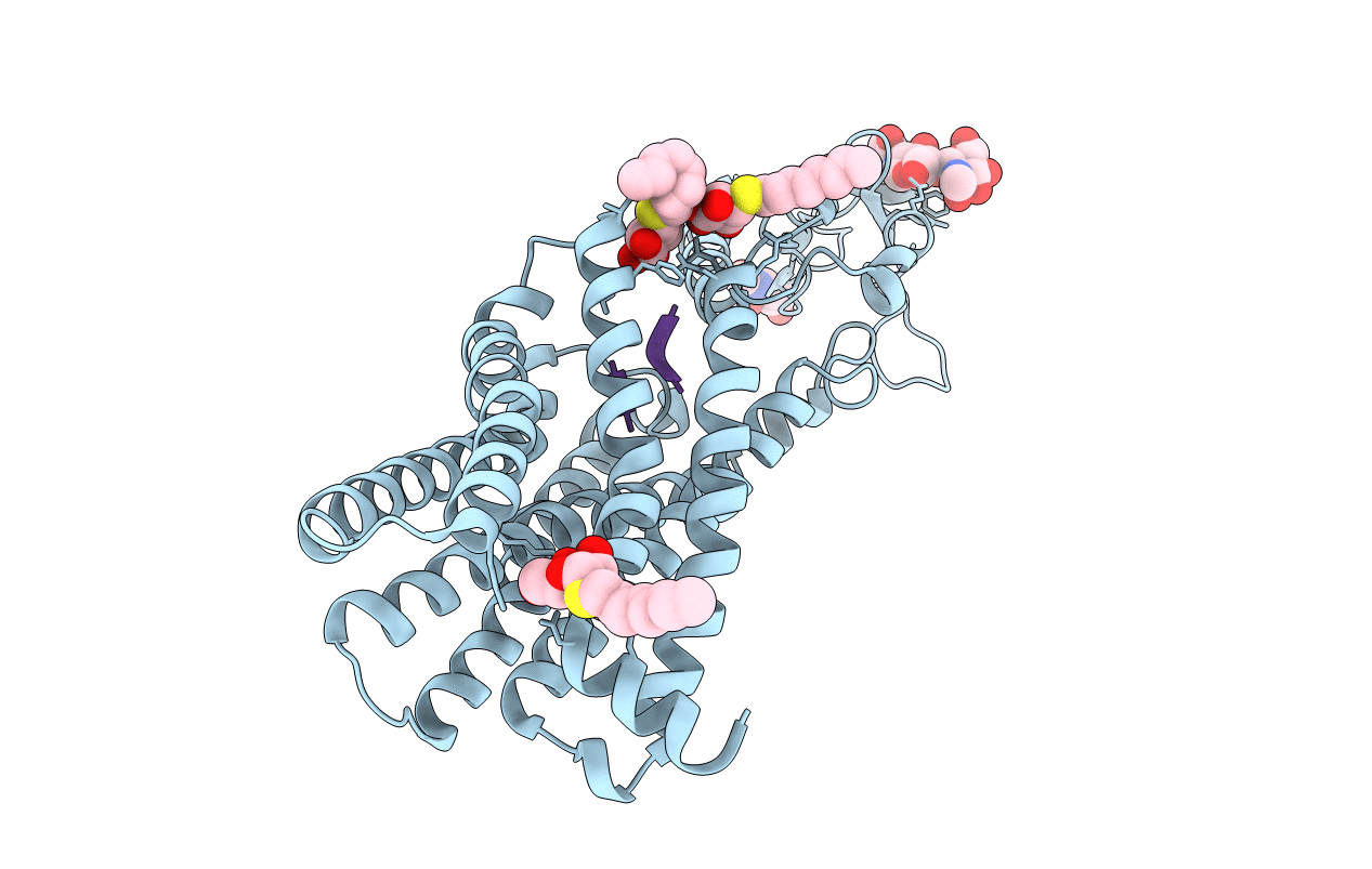 5NX2 image