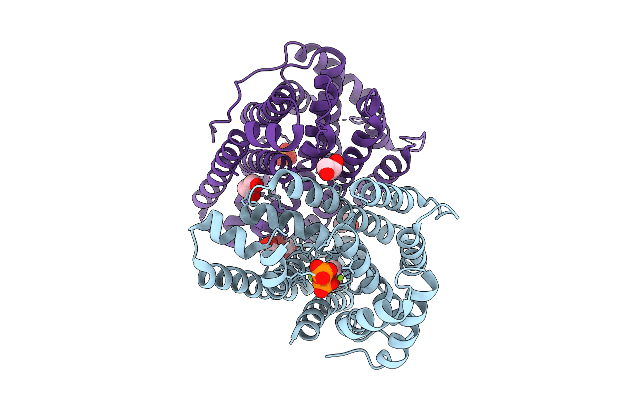 5NX5 image