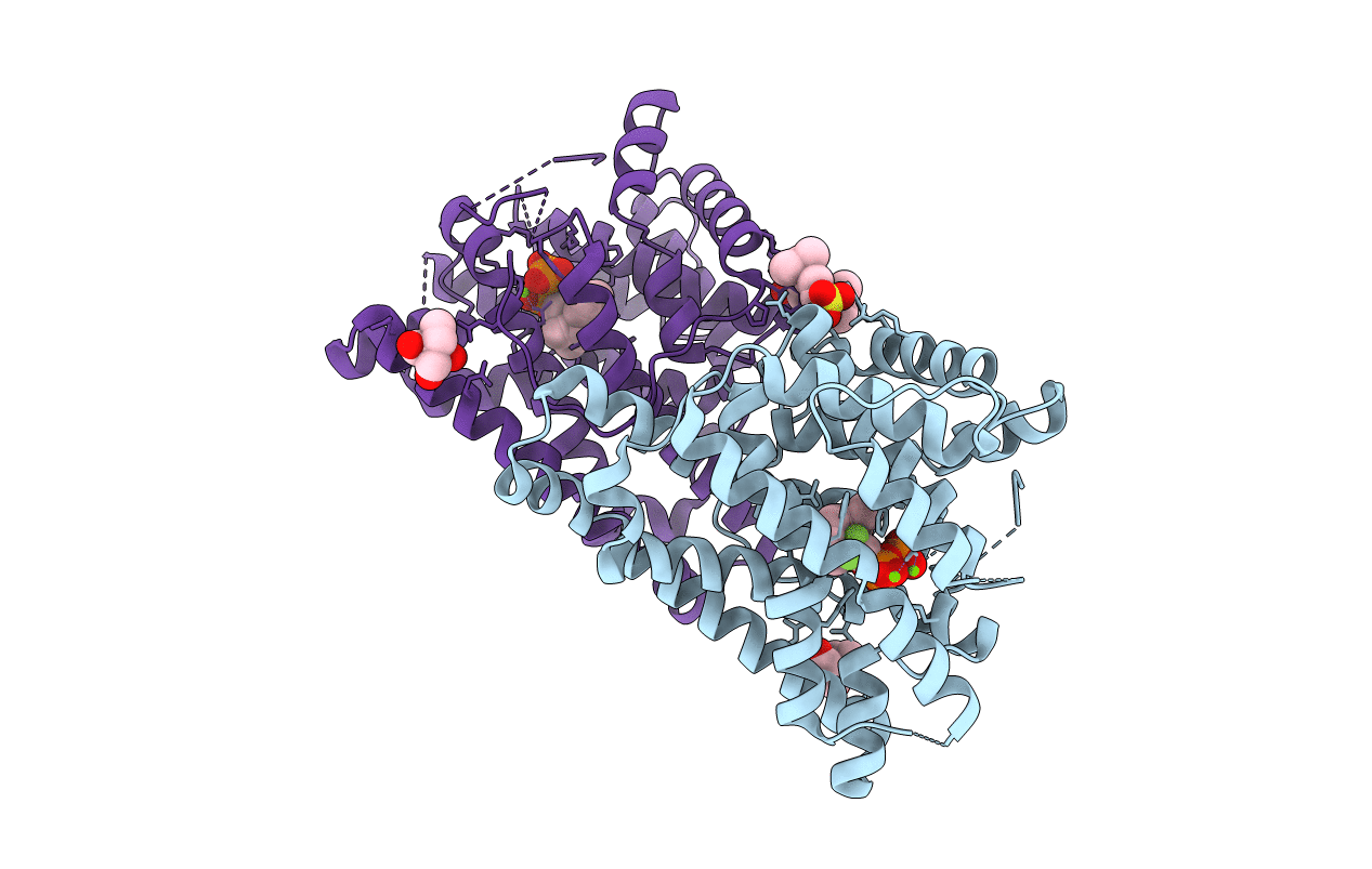 5NX7 image