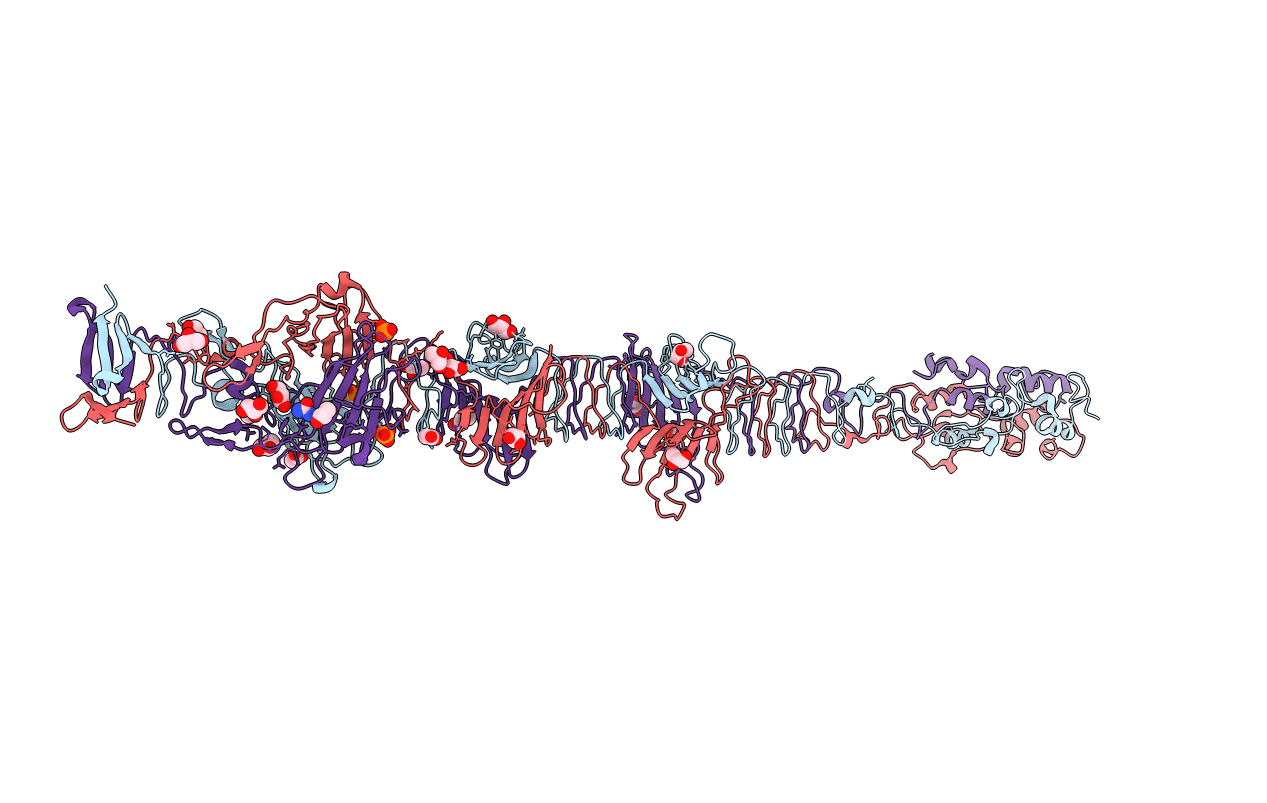 5NXF image