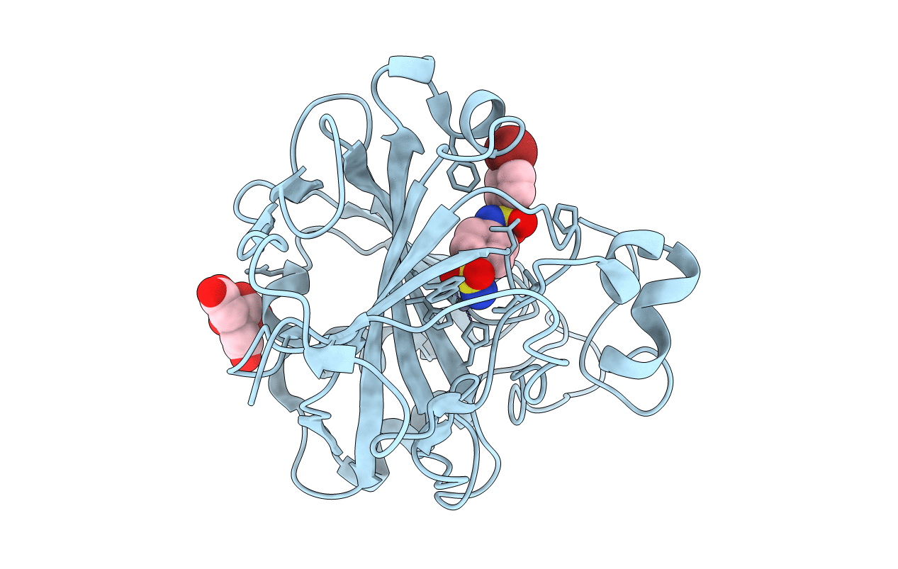 5NXI image