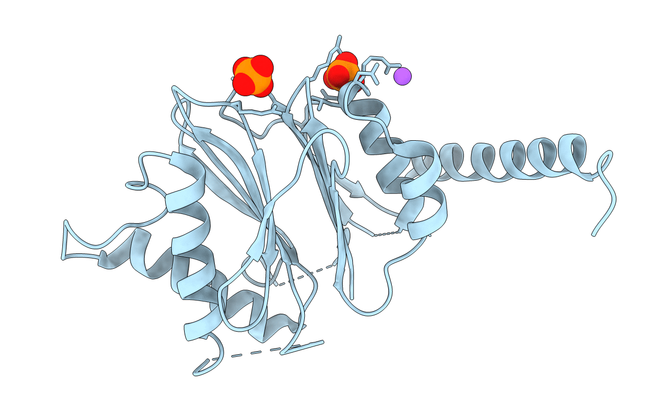 5NYP image
