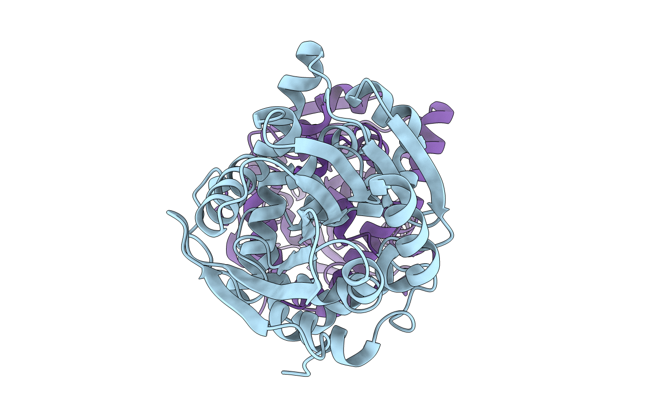 5NYV image