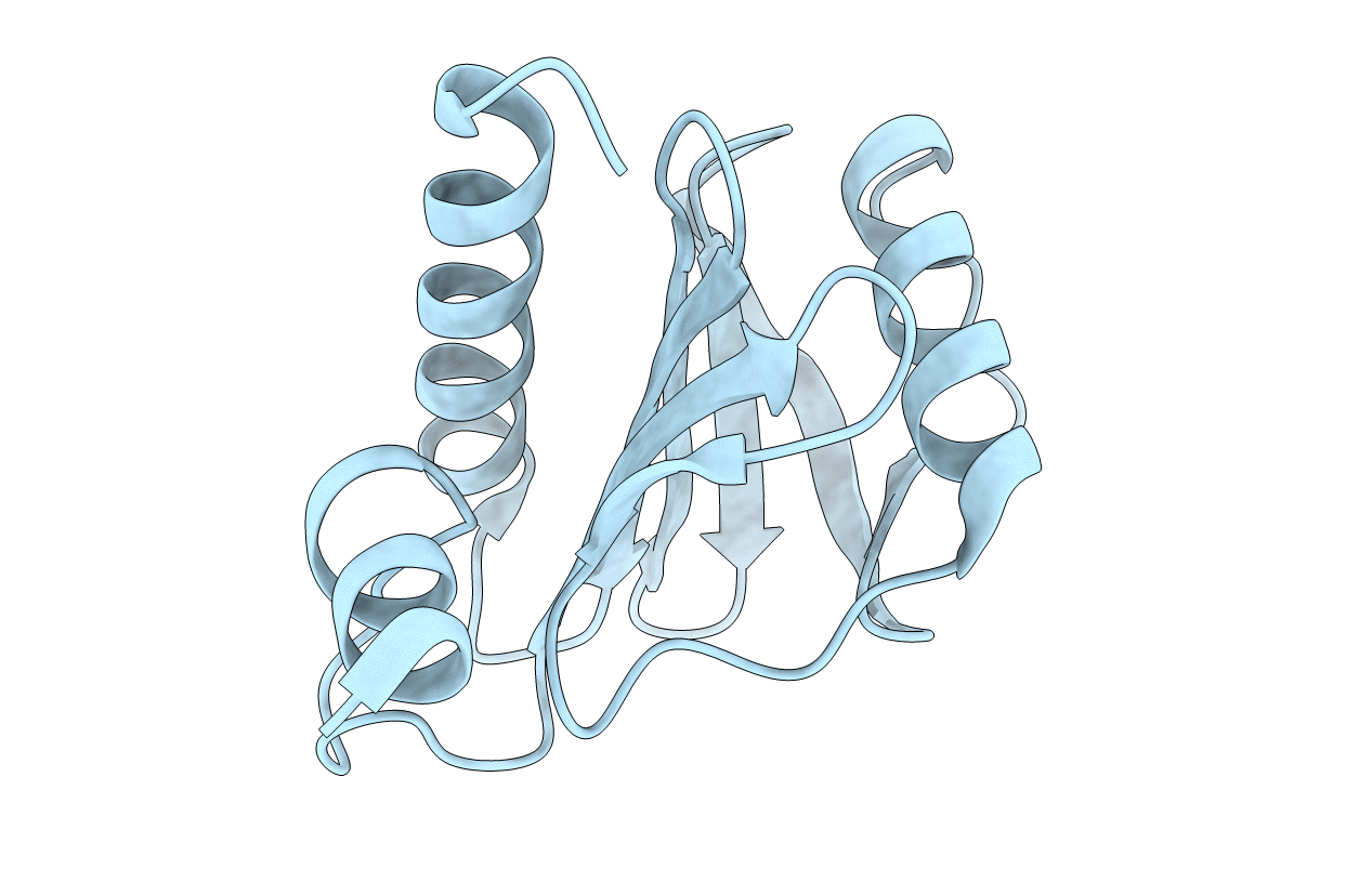 5NZB image