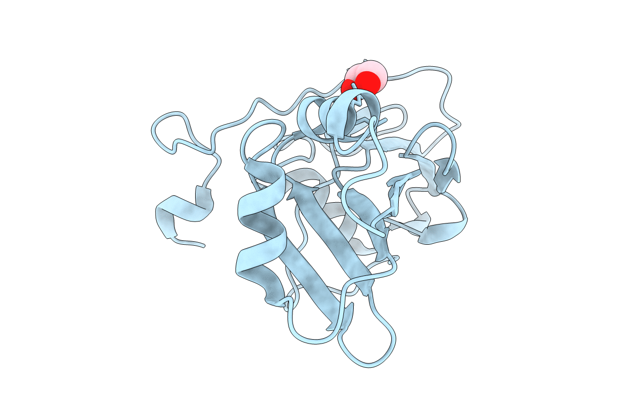 5O1W image