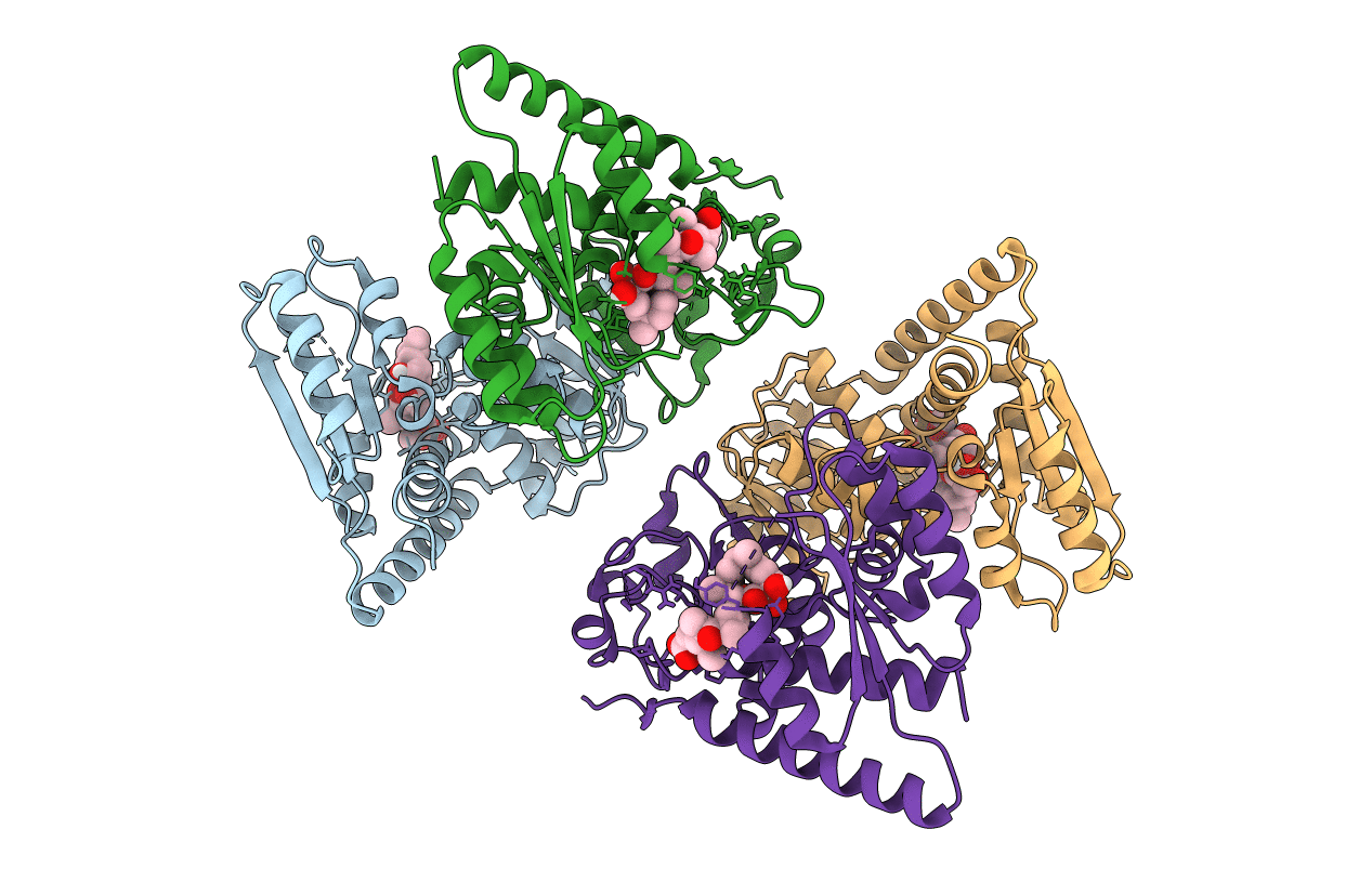 5O22 image