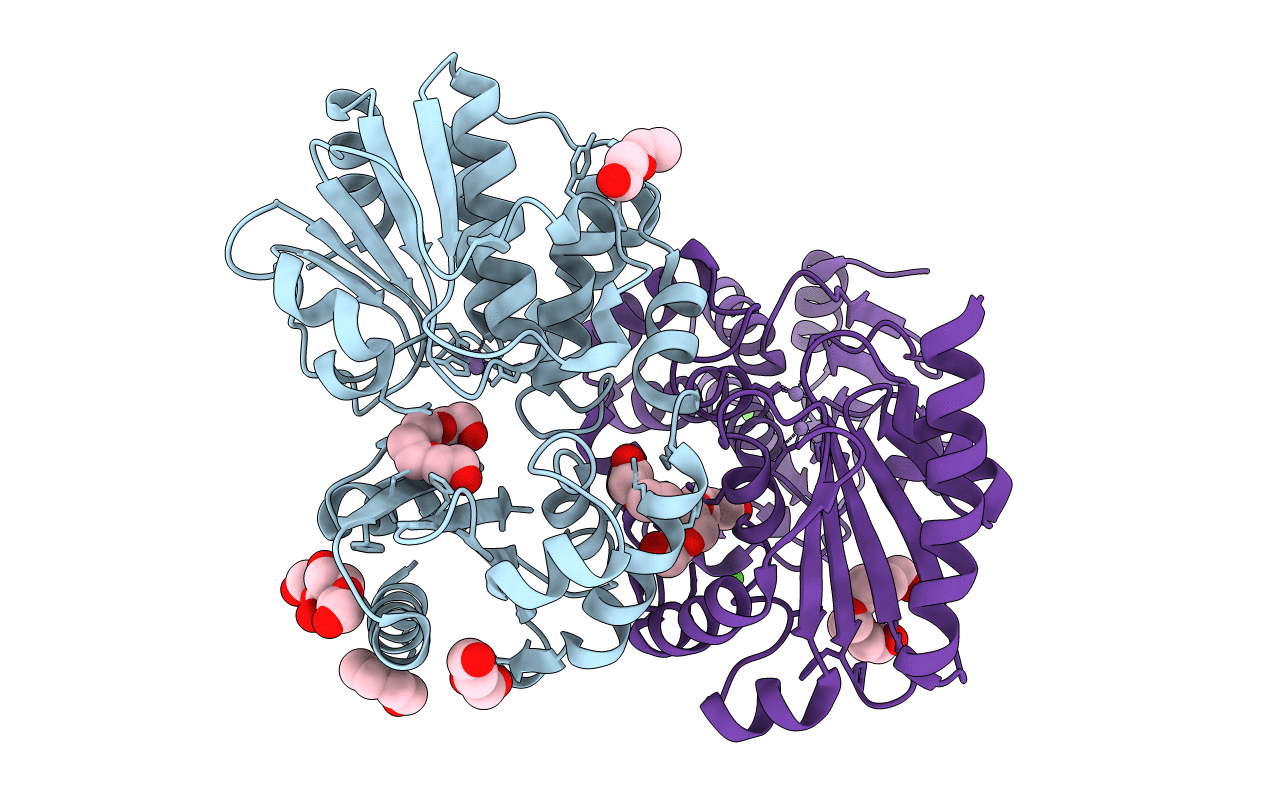 5O25 image