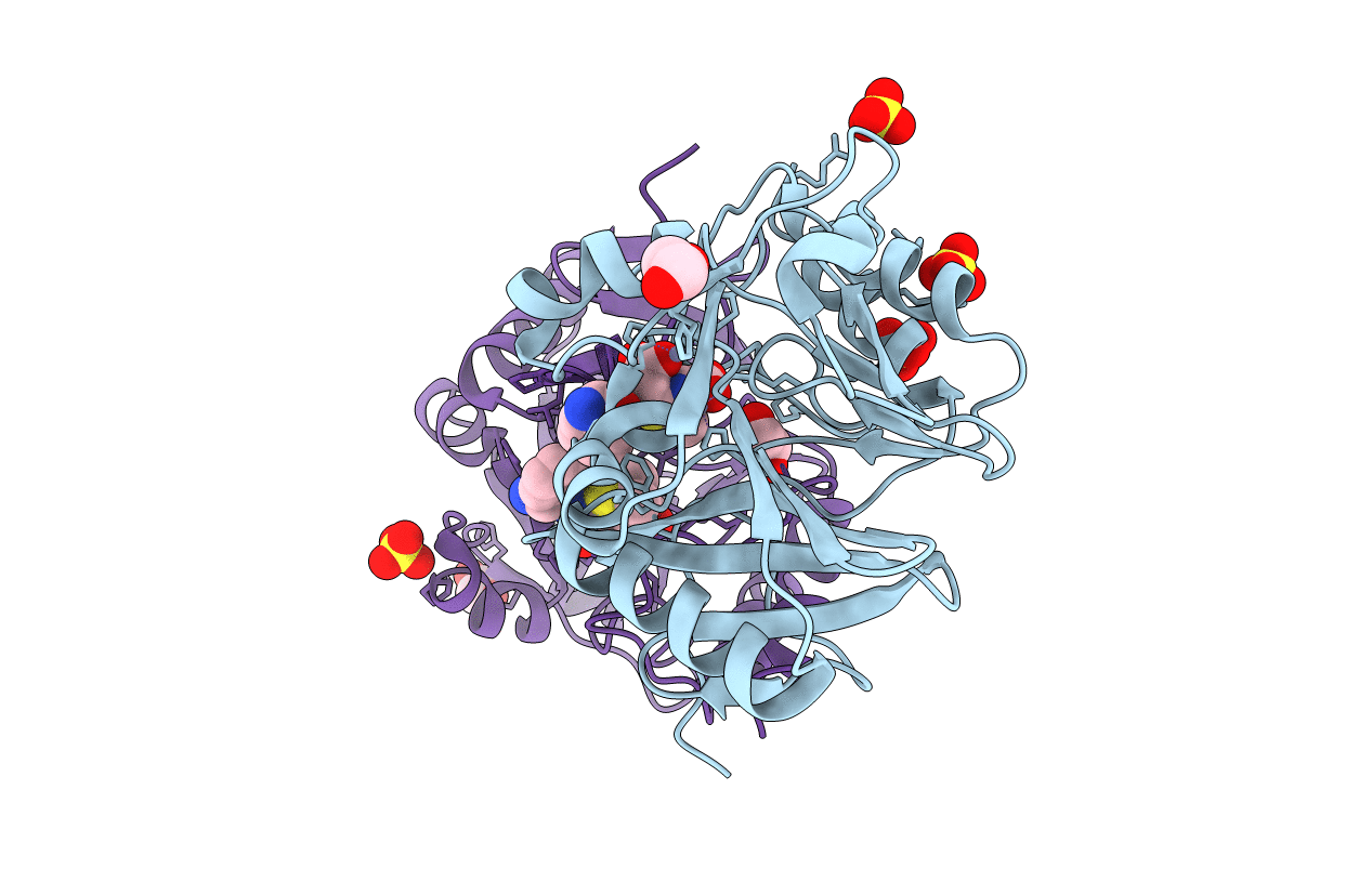 5O2F image