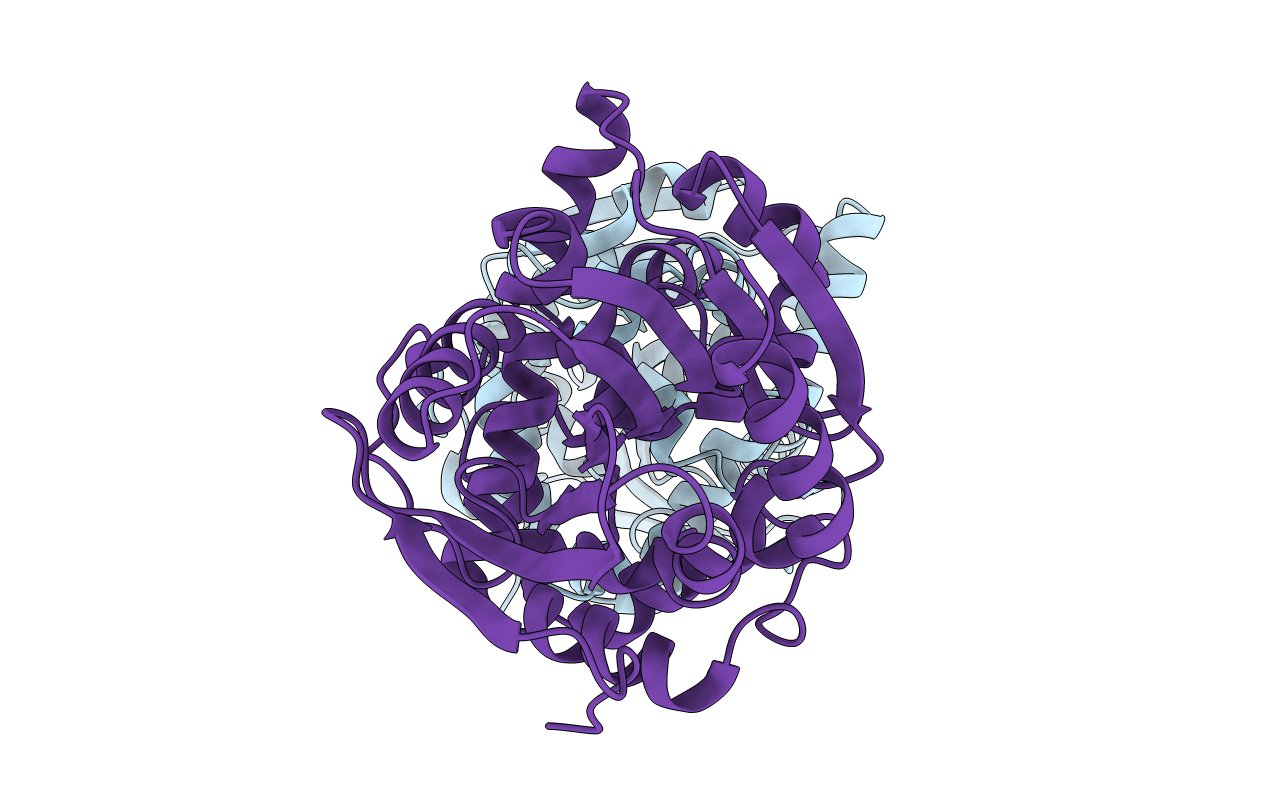 5O2I image