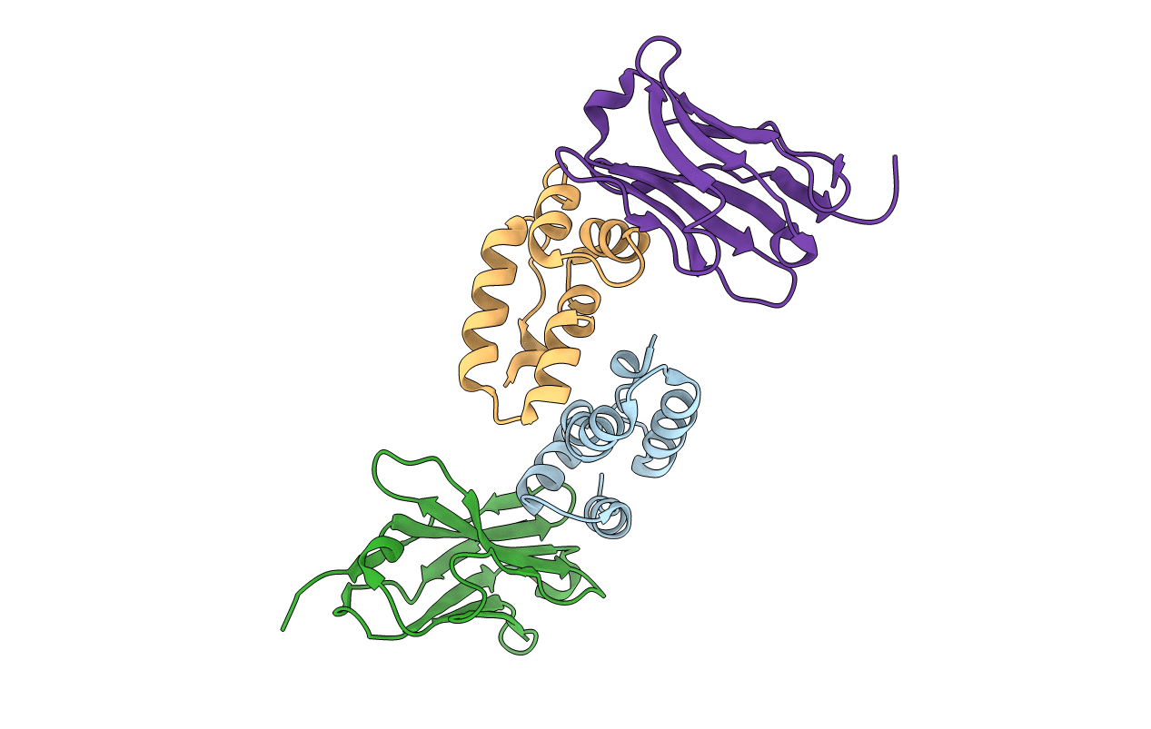 5O2U image