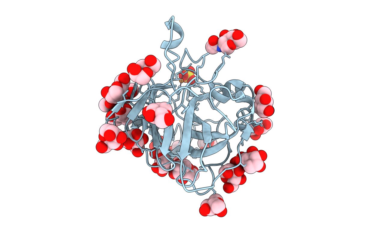5O2X image