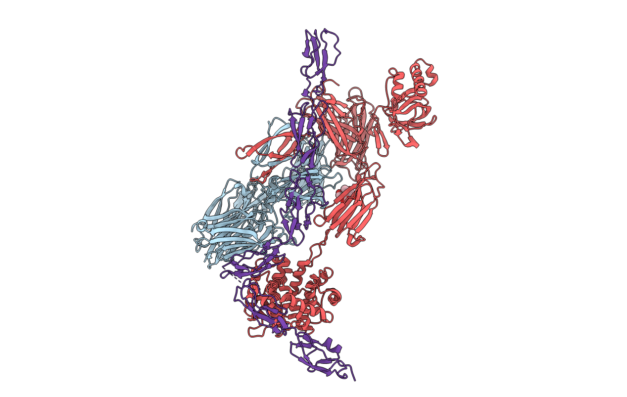 5O35 image
