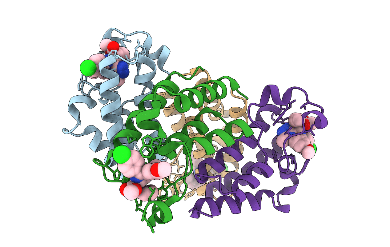 5O3B image