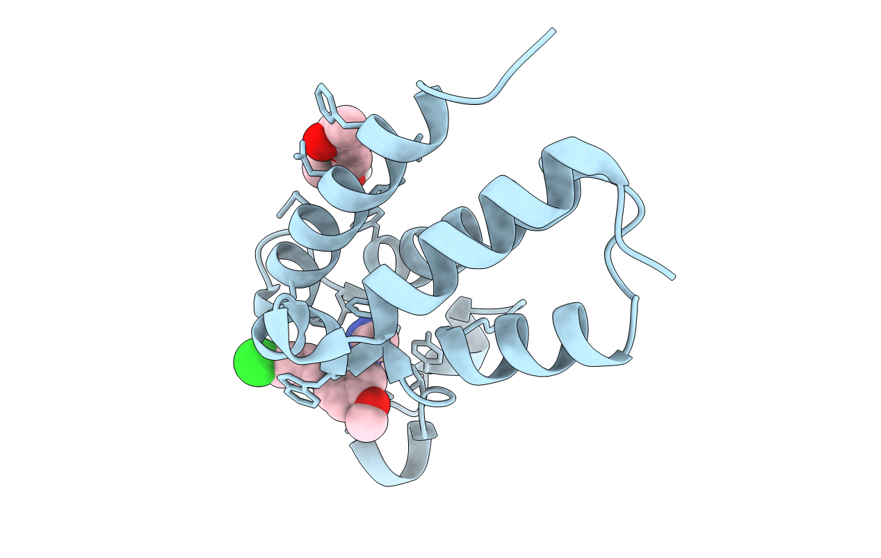 5O3C image