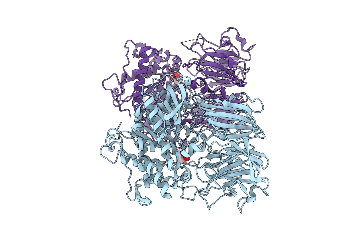 5O3X image