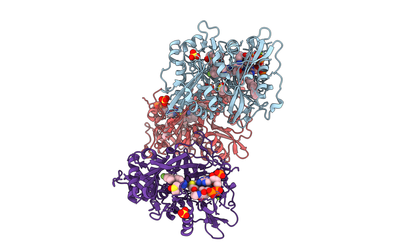 5O48 image