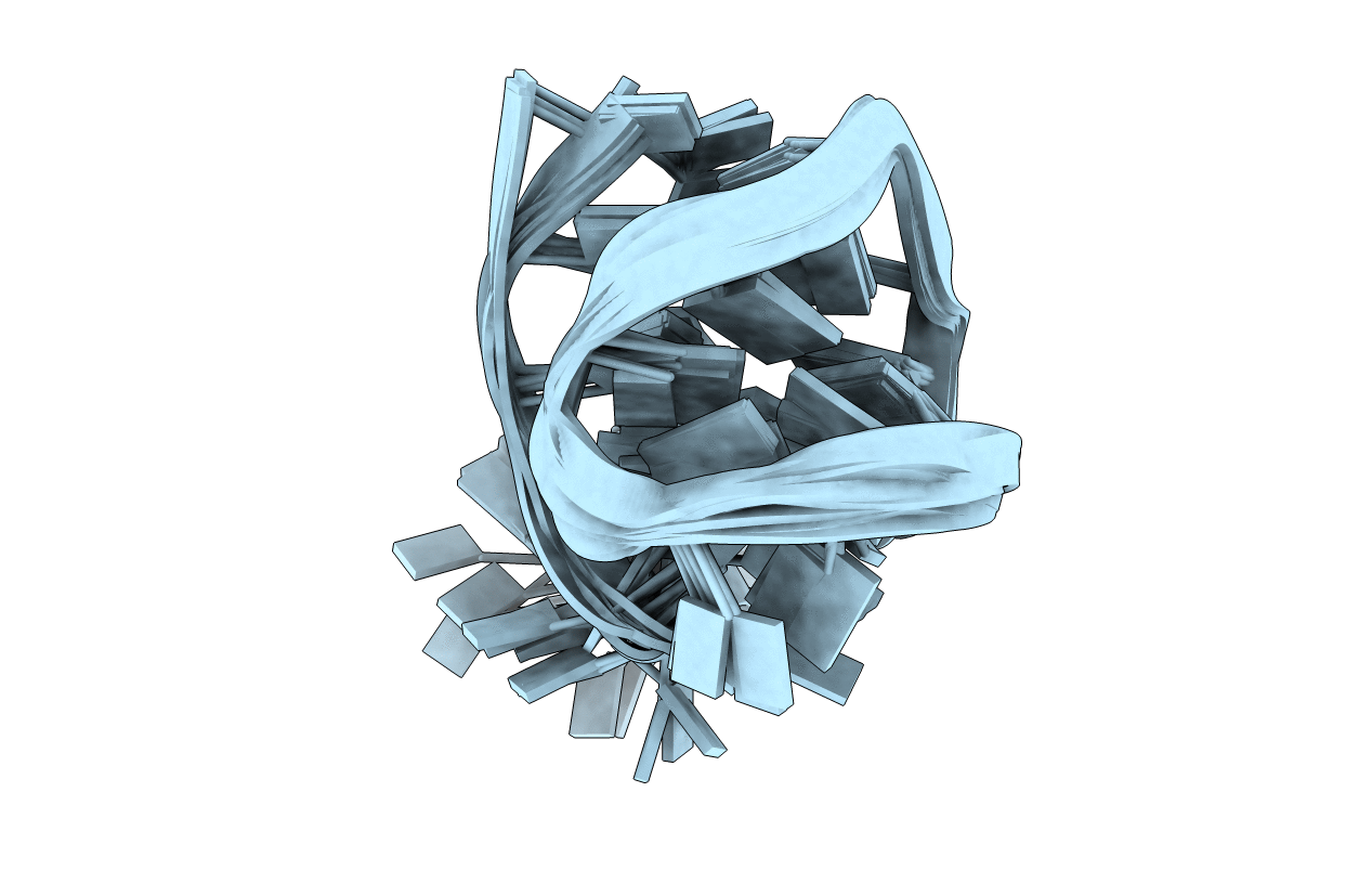 5O4D image