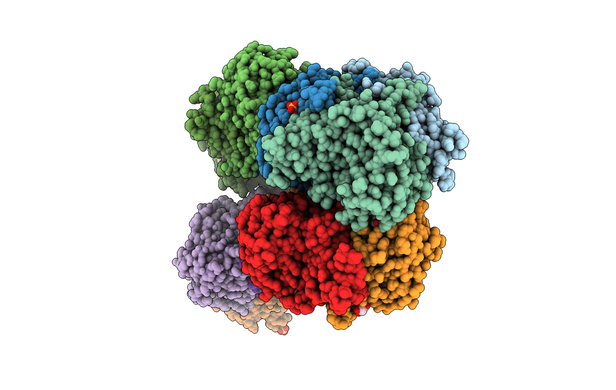 5O4I image