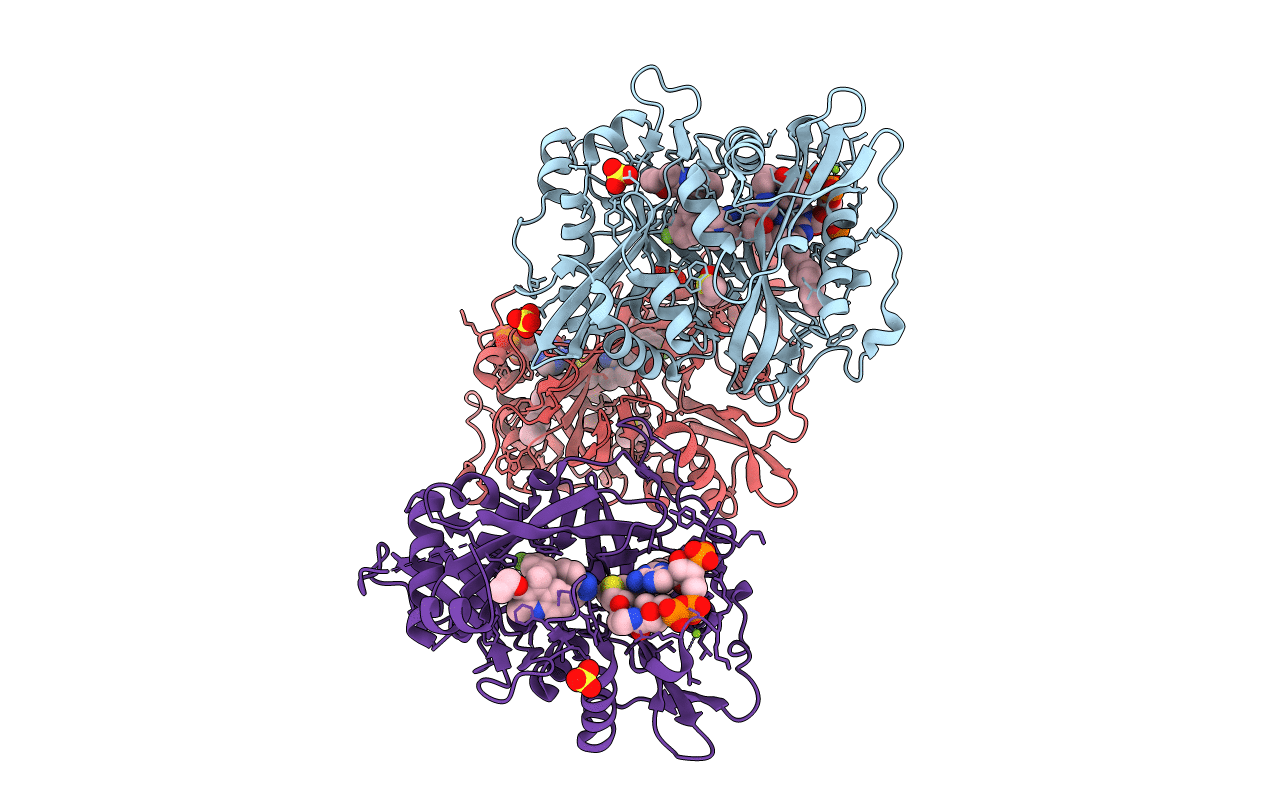 5O4V image