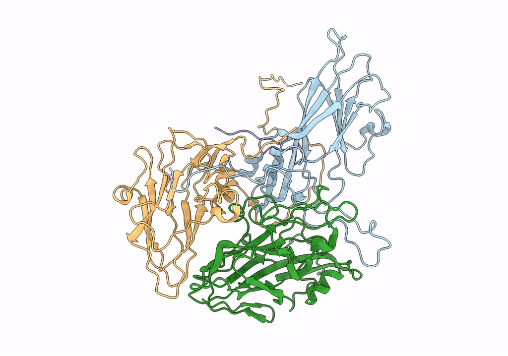 5O5B image