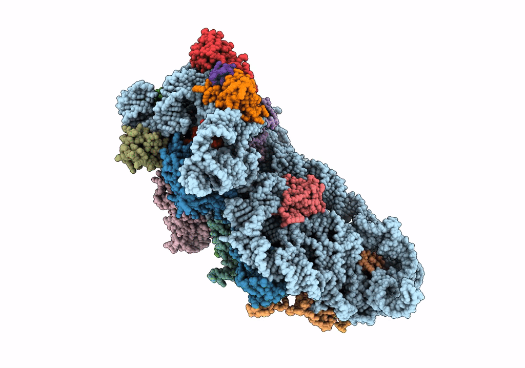 5O5J image