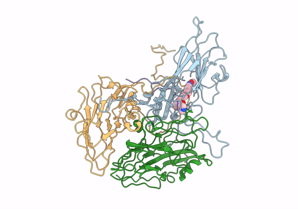 5O5P image