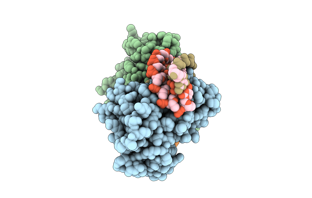 5O63 image