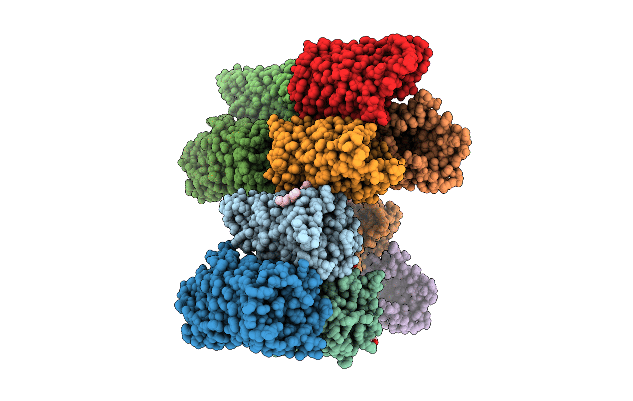 5O68 image