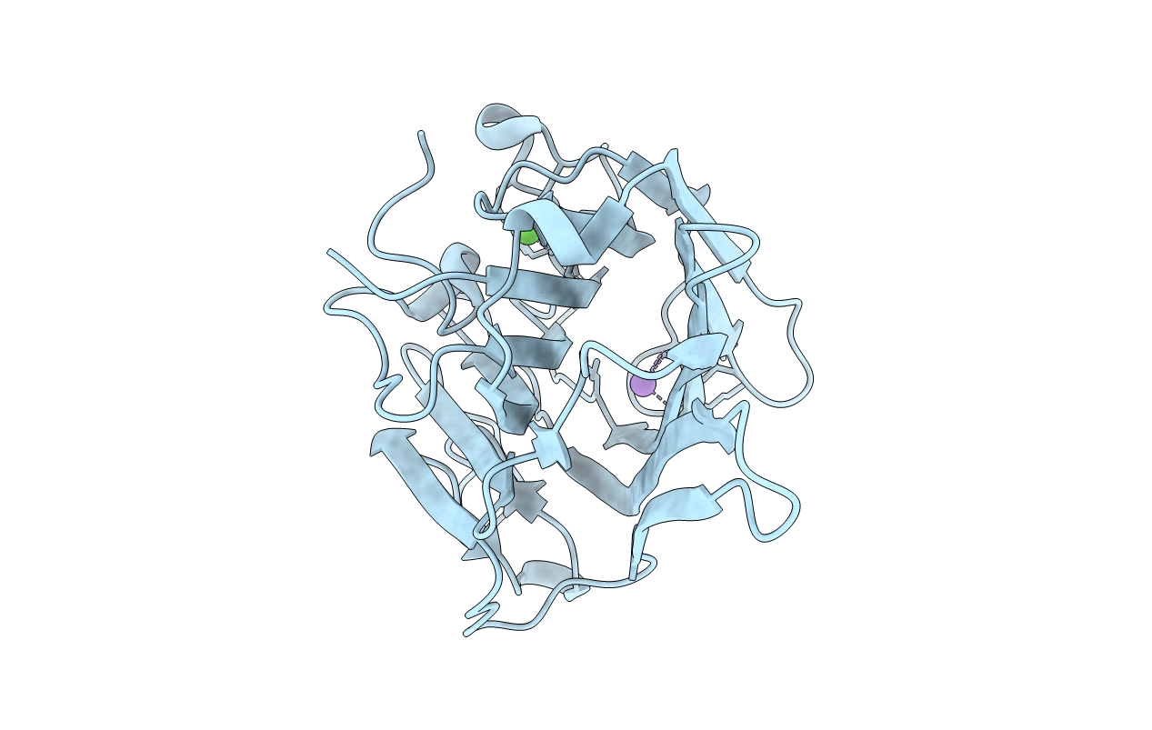 5O6N image