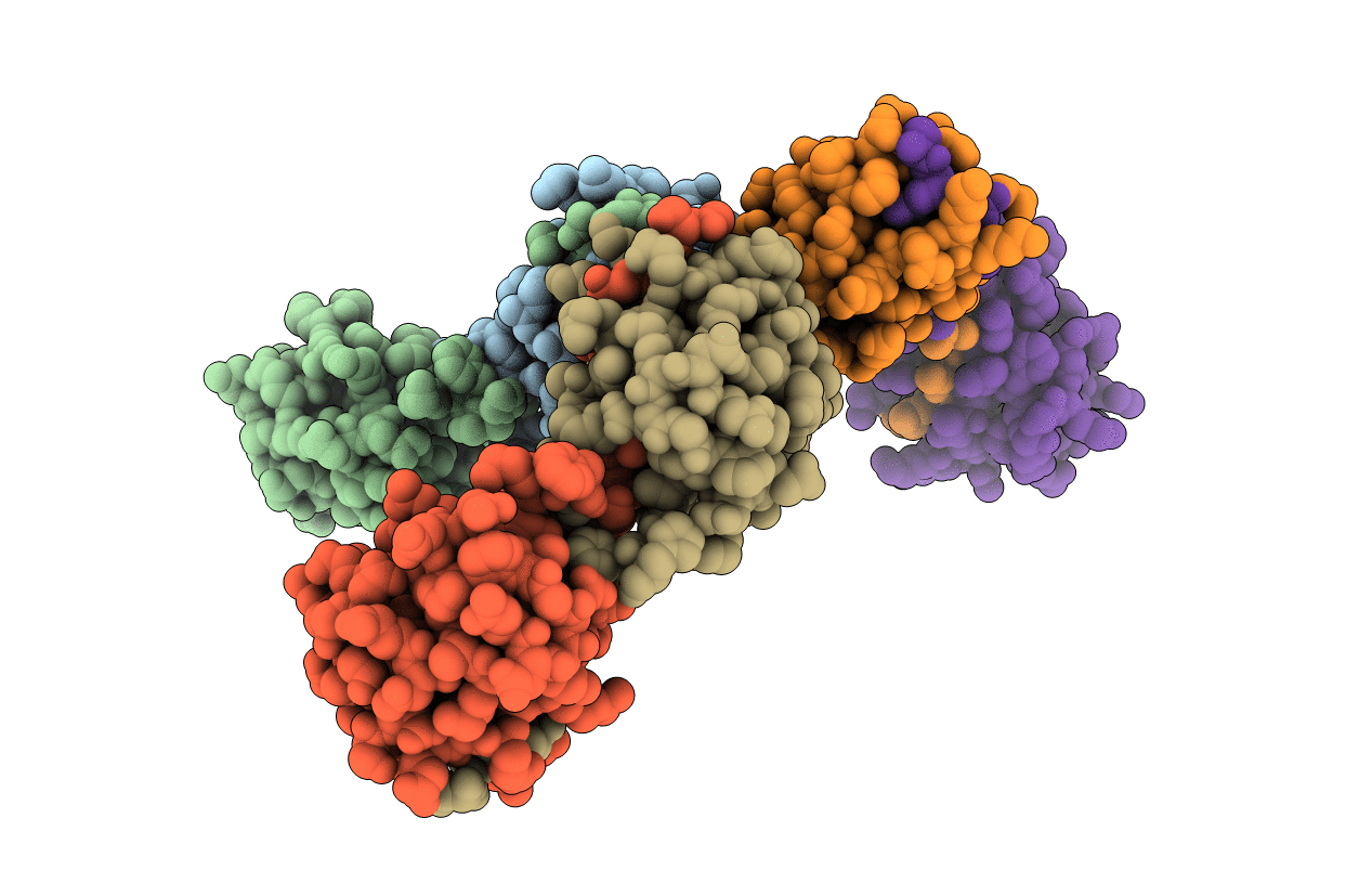 5O6S image