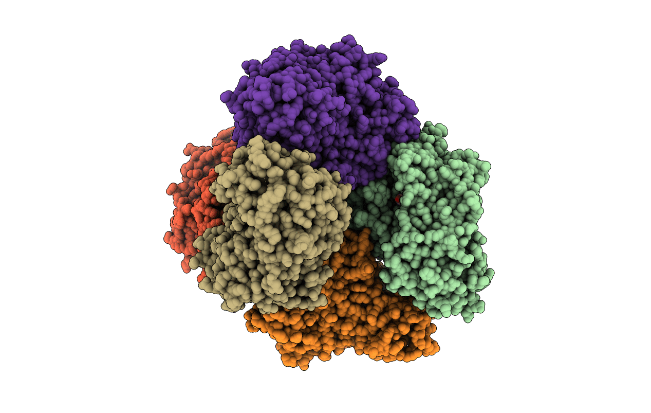 5O82 image