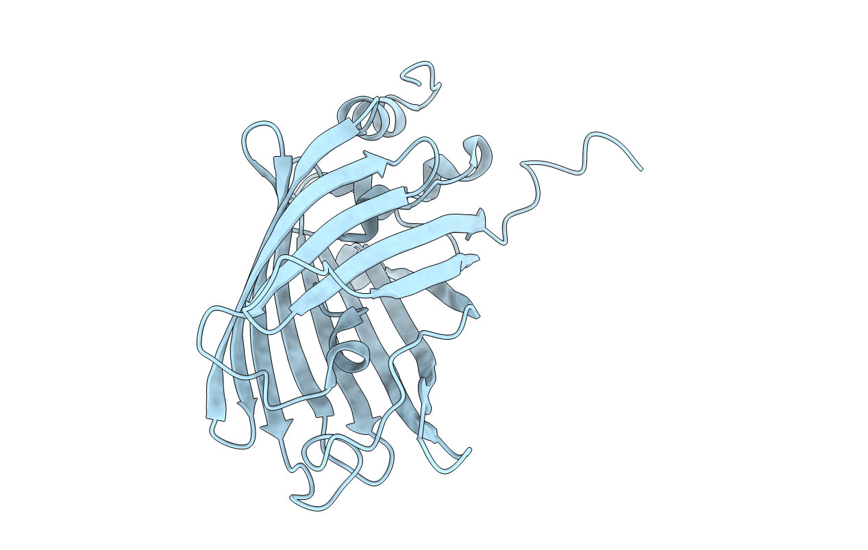 5O8B image