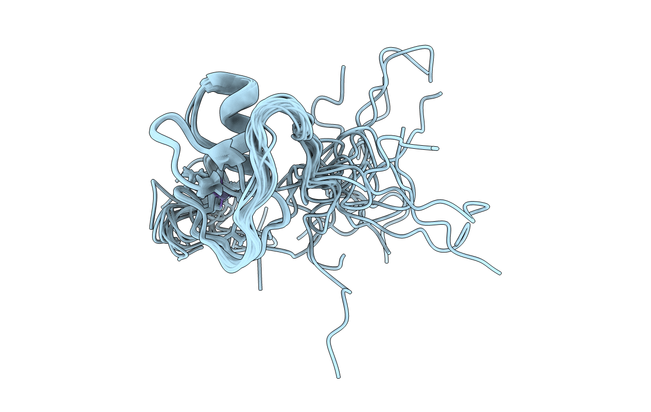 5O9B image