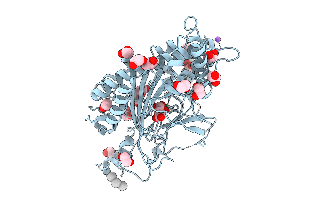 5O9W image
