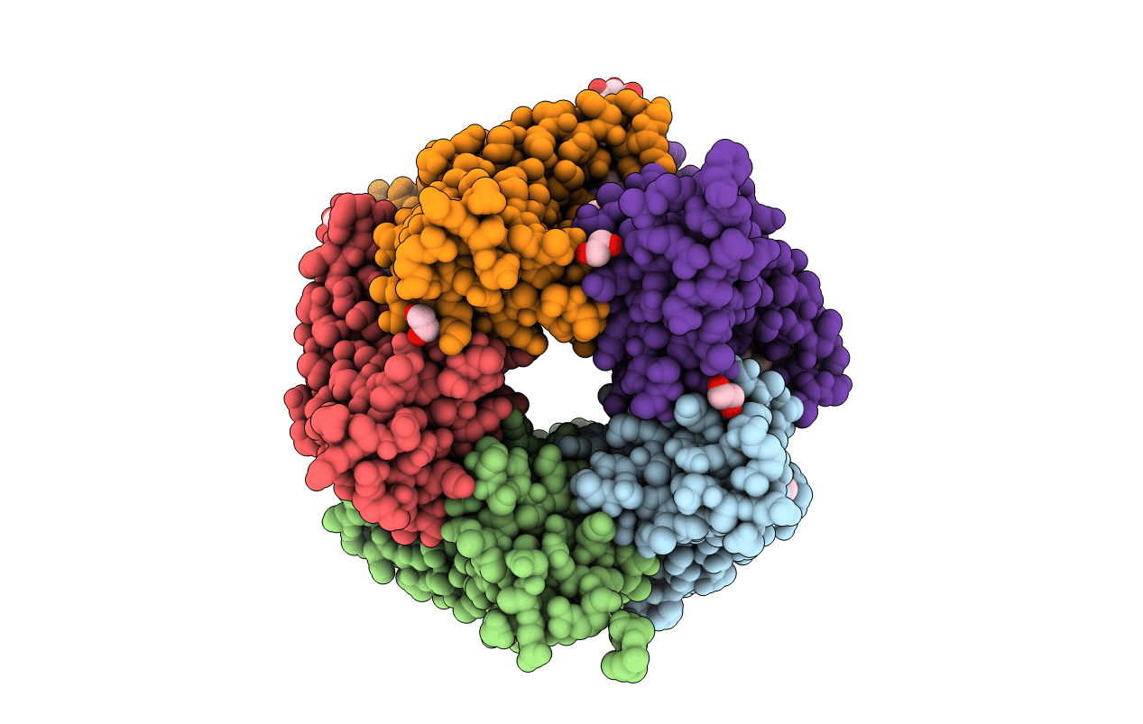5OBG image