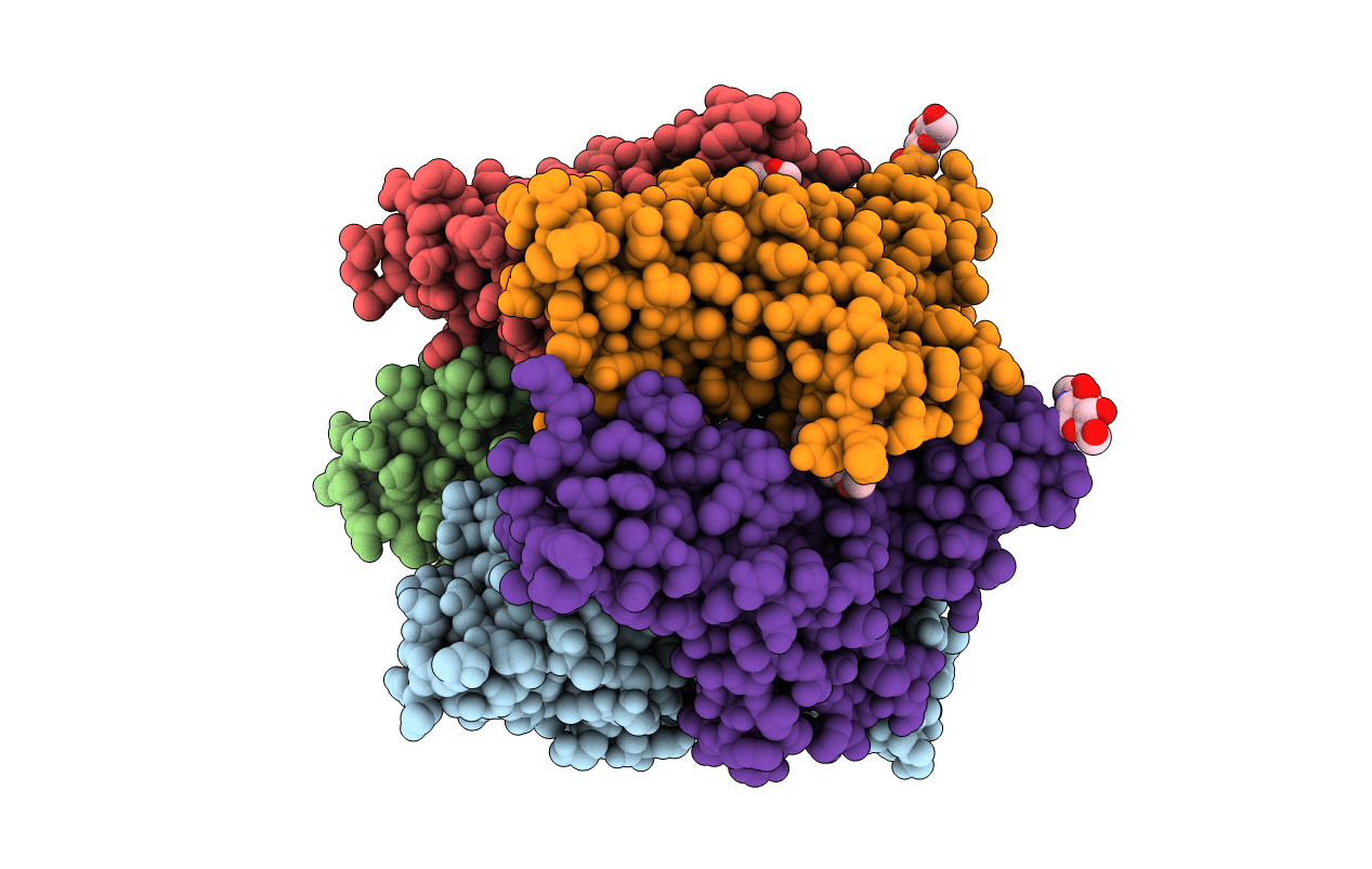 5OBH image